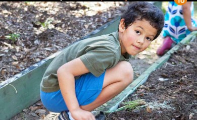 Ihitza 40 - Eskola baratza