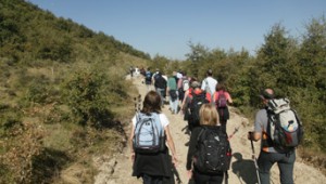 Catedrales de piedra y sal